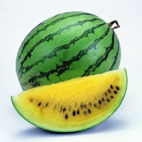 Арбуз Новый огонек 1г