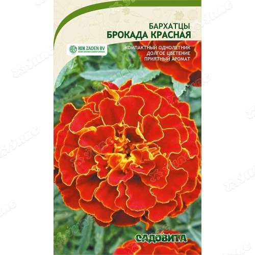 Бархатцы Брокада красная 0,3гр