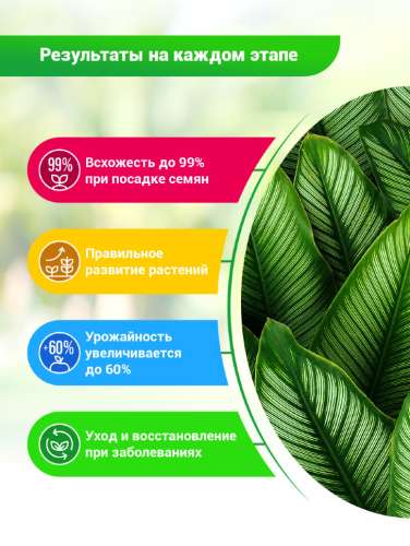 БИОГУМУС 0,25л вырастайка для рассады