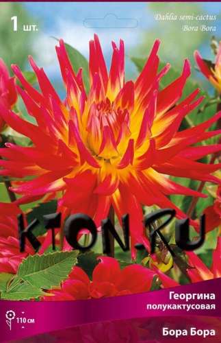 Георгина Бриджит смесь 0,3гр