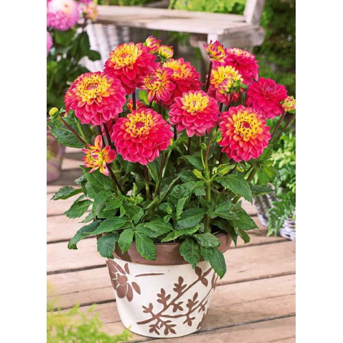 Душ-пистолет 7 функций с фиксат.под коннектор 0094