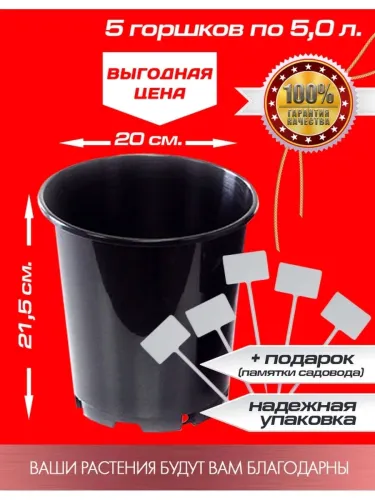 Томат Медовые пальчики 10шт
