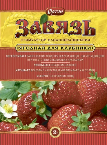 Завязь ОРТОН ЯГОДНАЯ ДЛЯ КЛУБНИКИ 2гр