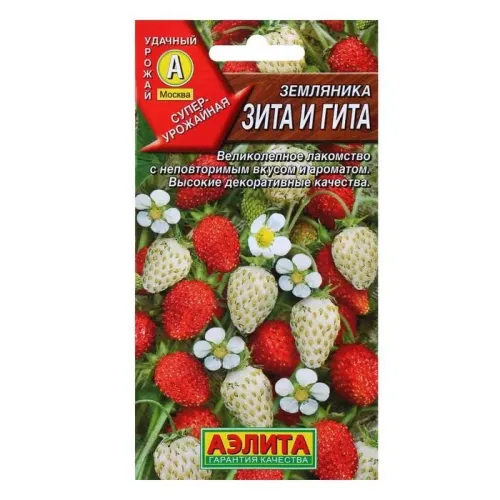Земляника Зита и Гита