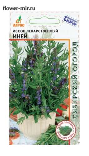 Иссоп Иней 0,1гр