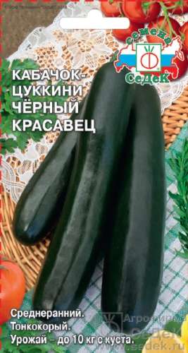 Кактус Непоседа