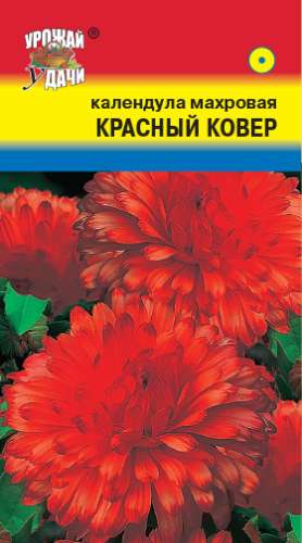 Календула Красный гигант 0,3г