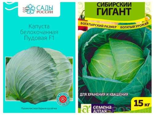 Капуста б/к Ринда F1 10шт