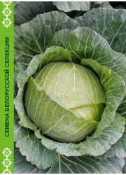 Капуста пекинская Салатная Хрустящая 0,3г