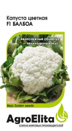 Капуста цветная Балдо 10шт