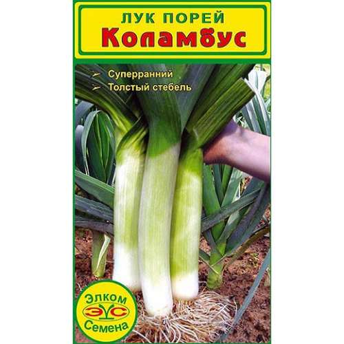 Лук Ред Семко 1г