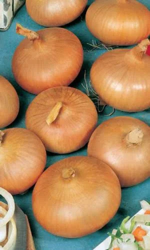 Лук репчатый Штуттгартер Ризен 0,5-1гр