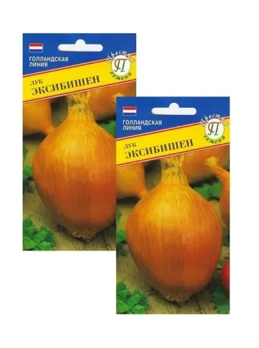 Лук репчатый Эксибишен Голландия