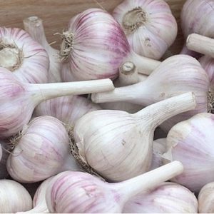 Лук-севок Ред Барон (кг)