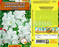 Львиный зев карликовый желтый