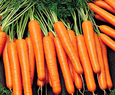 Морковь Алтайская Лакомка 2гр