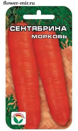 Морковь Сентябрина 2гр
