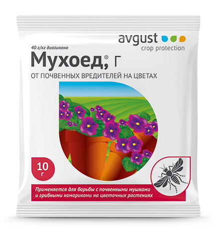 МУХОЕД АВГУСТ 10г