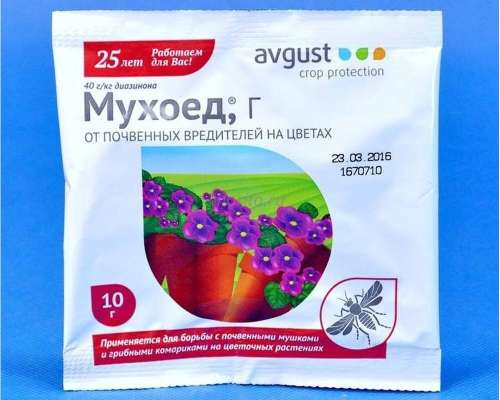 МУХОЕД АВГУСТ 25г