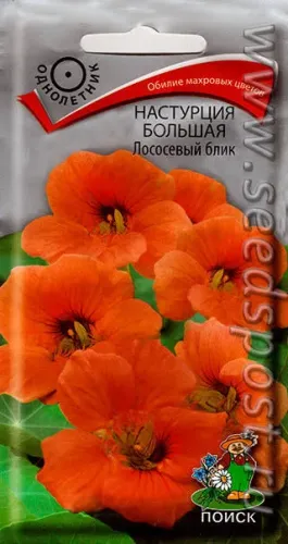 Настурция Большая Лососевый блик 1 гр