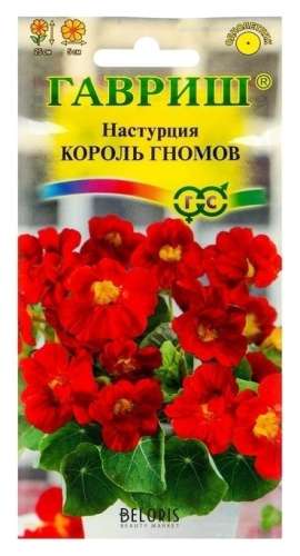 Настурция Пурпурный глянец