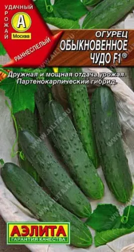 Огурец Обыкновенное чудо F1 0,25гр