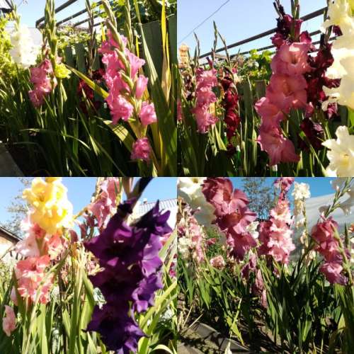 Опора для растений Лесенка мрамор