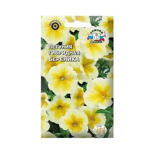 Петуния Береника 20шт