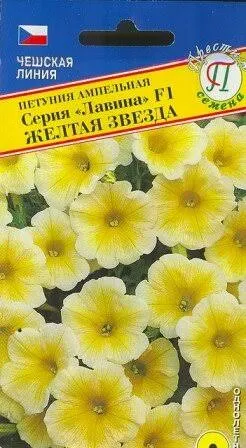 Петуния Лавина Желтая Звезда амп. F1