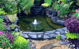 РАЁК АВГУСТ 10мл