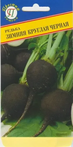 Редька Черная зимняя круглая 1гр