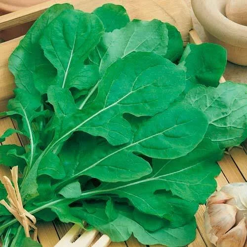 Руккола Индау Красотка 