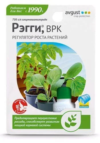 Рэгги 1мл Август