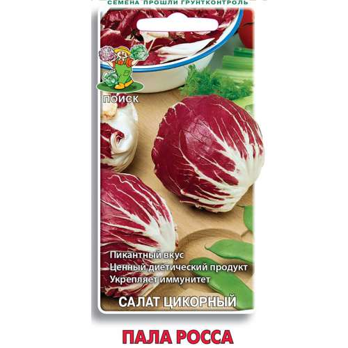 Салат цикорный Палла Росса