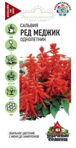 Сальвия Кассиопея карликовая 5шт