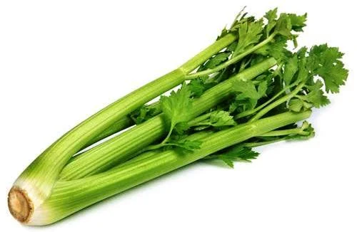 Сельдерей листовой Здоровье 0,1г