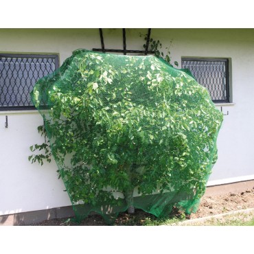 Сетка ОТ ПТИЦ LISTOK 6x6 2м*10м