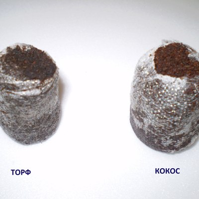 Таблетка кокосовая 35мм