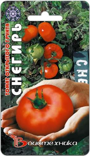 Томат Снегирек