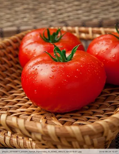 Томат Хлыновский