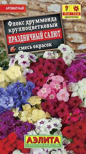 Флокс Пикси Миракл