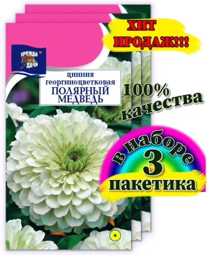 Цинния Бабай