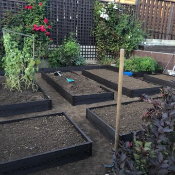 Сетка антимоскитная на голову 50х50см Argus