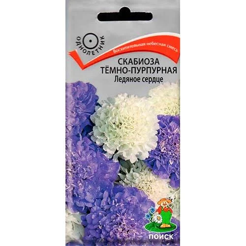 Скабиоза Лососево-розовая 