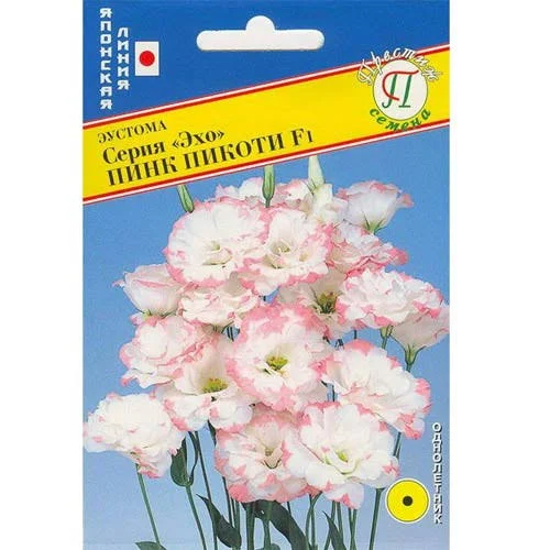 Эустома Эхо Пикоти розовая