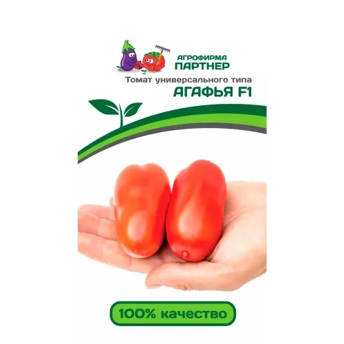 Томат Аврора 12шт