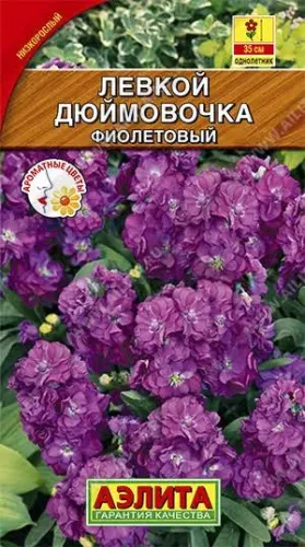 Левкой Дюймовочка фиолетовый 0,1гр карлик.