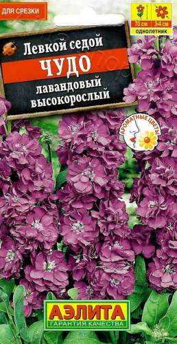 Левкой Чудо лавандовый 0,1гр высокорос.