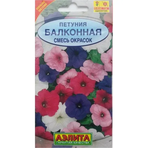 Петуния Эйч Ди Пинк