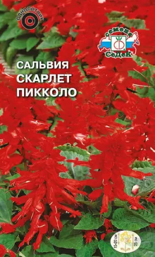 Сальвия Скарлет Сверкающая 0,1гр